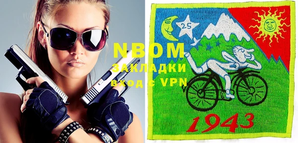 шишки Тавда