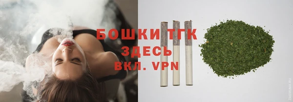 ПСИЛОЦИБИНОВЫЕ ГРИБЫ Баксан