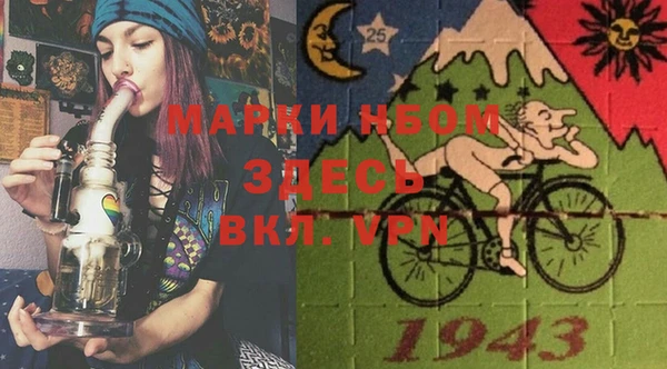 ПСИЛОЦИБИНОВЫЕ ГРИБЫ Баксан
