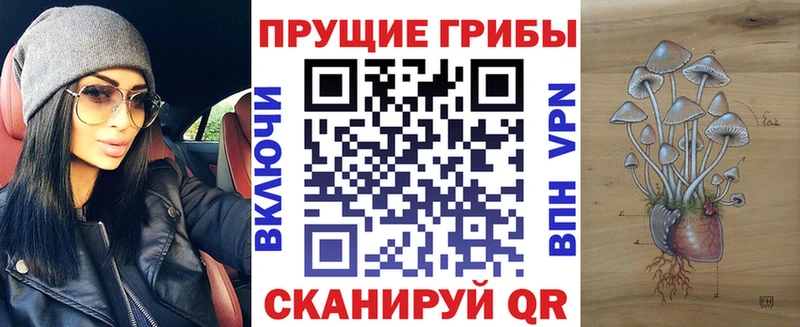 нарко площадка формула  Кремёнки  Галлюциногенные грибы Psilocybe  дарнет шоп 